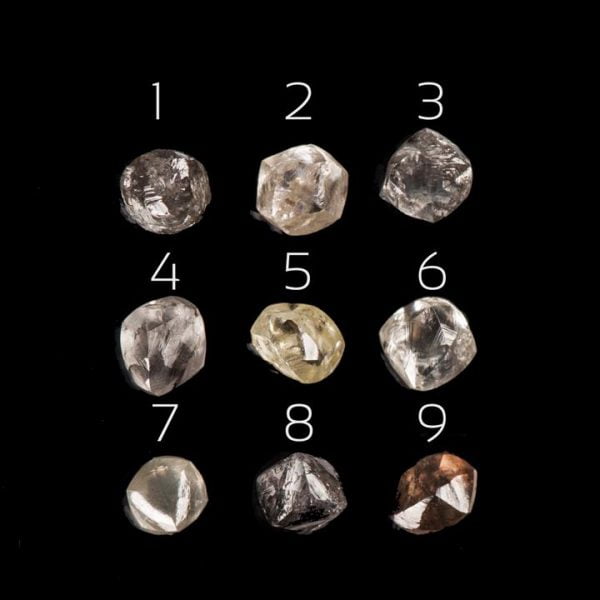 Raw Diamond Leaves Engagement Ring Platinum 6 Catalogue