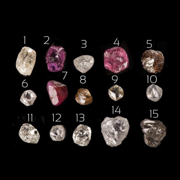 Raw Diamond Twig Engagement Ring Rose Gold 8 Catalogue