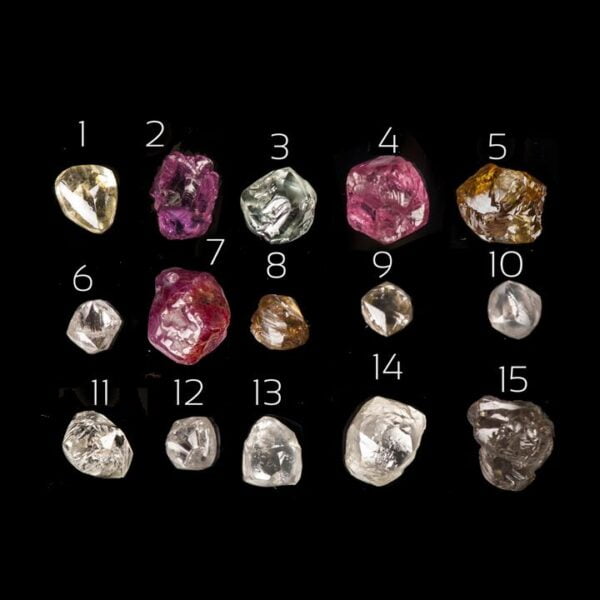 Raw Diamond Twig Engagement Ring Rose Gold 8 Catalogue