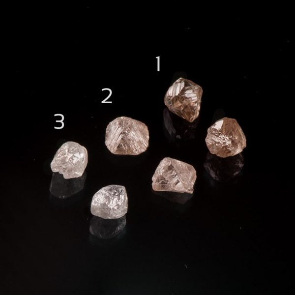 זוג עגילים יפהפיים עשויים פלטינה בשיבוץ יהלום גולמי המוקף בהילת יהלומים יהלומים גולמיים