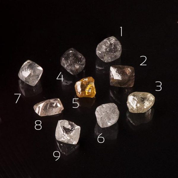 תליון 'טוויג' בהשראת הטבע בשיבוץ יהלום גולמי עשוי זהב לבן יהלומים גולמיים