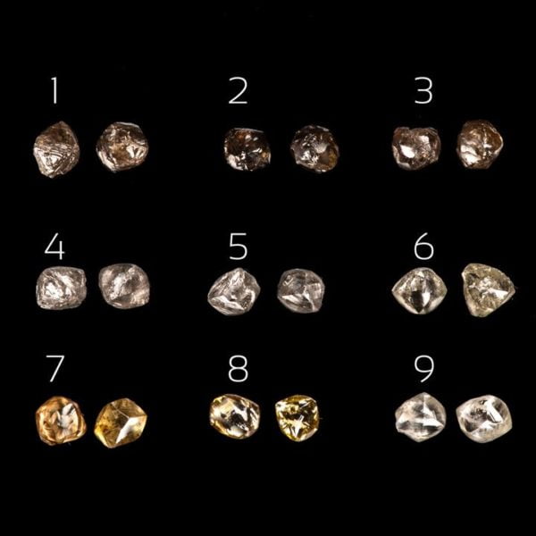 Raw Diamond Studs Rose Gold Catalogue