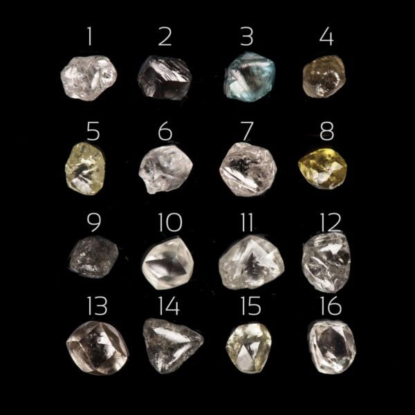 Raw Diamond Twig Engagement Ring White Gold 31 Catalogue